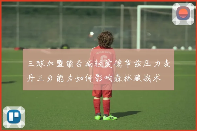 三球加盟能否减轻爱德华兹压力麦丹三分能力如何影响森林狼战术